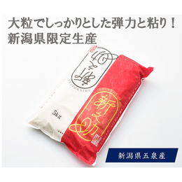 【送料無料】精米 新潟県限定生産のブランド米 令和7年 新之助　精米