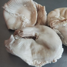 国産豚ガツボイル