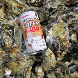 冷凍出荷　10kg　小さいサイズ　殻付き牡蠣　加熱用　食べ放題に