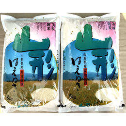 令和7年産! 山形県産 はえぬき 白米5kgx2袋