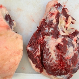 【希少!!】2025年4月捕獲ヒグマ　熊肉 ランプ肉(脂少なめ)