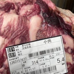 上質格安商品!!】新鮮和牛交雑牛　牛スジ肉/牛小肉 和牛(未経産/メス・去勢)