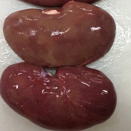 【鮮度抜群!! 新鮮】豚腎臓　豚マメ　豚キドニー チルド