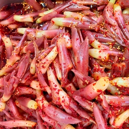 みょうがキムチ(茗荷キムチ)300g