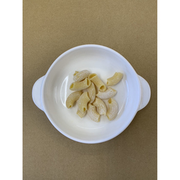 生パスタ　ショートパスタ　リガトーニ　国内製造　　(100g×10P)