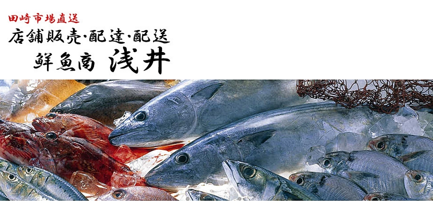 鮮魚商 浅井