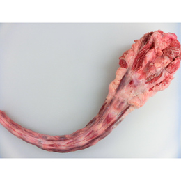 【国産牛】牛テール1本単位(2kg前後)