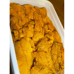 最高級AAグレード　ミョウバン無【10パック】冷凍　濃厚ウニ100g