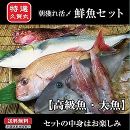 【送料無料】初回限定朝獲れ鮮魚!高級魚・大魚セット「神経抜き」★五島直送★11300円⇒10200円