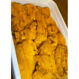 【サンプル】イチオシ高コスパ!AAグレード【1パック〜】生冷凍　濃厚ウニ100g