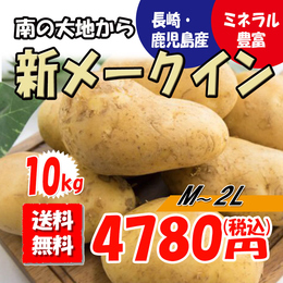 メークイン 約10kg 国内産 送料無料 産地リレー方式