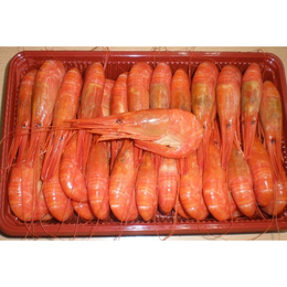 北海しまえび　Mサイズ　500g　