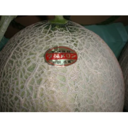 北海道　夕張メロン 2玉入り(大サイズ2kg×2個) 品質保証マーク付き(個選)