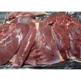 【神奈川県産】鹿モモ肉　ブロック　骨無し　スネ肉付き