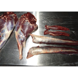 【神奈川県産】:限定1　鹿肉一頭買い　モモ肉　　背ロース　　ヒレ肉