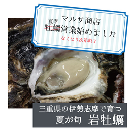 今が旬鳥羽産「岩牡蠣」10個