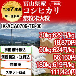 黒部のコシヒカリ 整粒米 富山県R7年[銀行振込]【IK-FKA07203-TB-00】