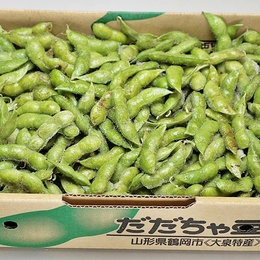 鶴岡産　だだちゃ豆　(品種:甘露・白山)訳ありA・B品　無農薬