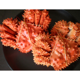 旬の「花咲ガニ」北海道直送　500g×2尾　