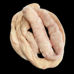 国産牛　丸腸　もつ/焼肉/ホルモン　