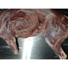 【小田原産】:限定2　猪肉半身　4.8kg