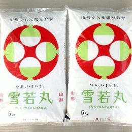 令和7年産! 山形県産 雪若丸 白米5kgx2袋