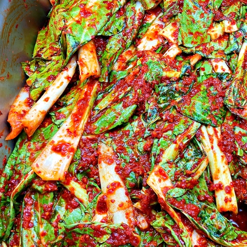 しろ菜キムチ1kg