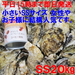 【15時まで即日発送】生牡蠣 加熱用牡蠣SS20kg 約400粒 殻付き牡蠣 カキ 牡蛎 