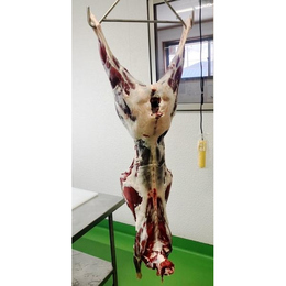 【不定貫】遠野鹿肉【熟成】一頭買い15kg〜ジビエの真髄を味わう究極の選択