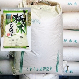 令和5年産 栃木県大田原コシヒカリ 白米検査一等米10kg(5kg×25