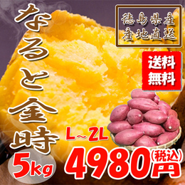 鳴門金時 徳島県産 なると金時 金時芋 さつまいも 5㎏ 新物 送料無料