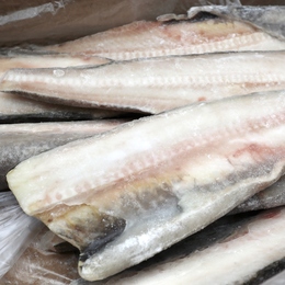 銀鱈センターカット　5kg(10入前後)/ケース
