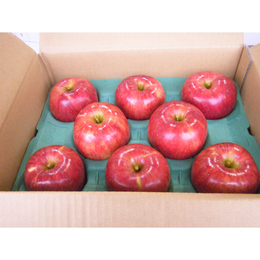 信州　飯綱町産　サンつがる　A級　3㎏