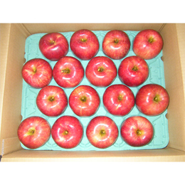 信州　飯綱町産　サンつがる　A級　5㎏