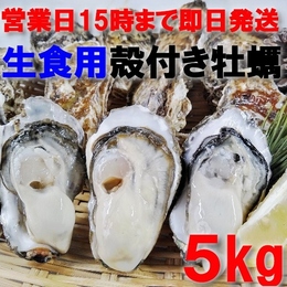 【15時まで即日発送も可能】生食用牡蠣5kg 約50粒 宮城県産 殻付き牡蠣 カキ 牡蛎 