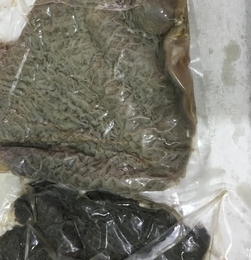 【上質で格安】鮮度抜群!!国産牛ハチノス　トリッパ10kg　牛肉エキスパート厳選仕入