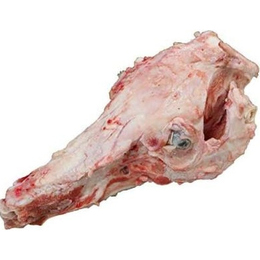 国産豚頭骨