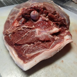 【小田原産】:猪モモ肉骨付き