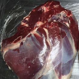 【小田原産】小田原のめぐみ　鹿モモ肉　ブロック　骨付き約3kg