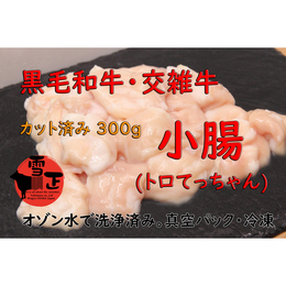 【カット済み】黒毛和牛・交雑牛小腸 オゾン水で洗浄済み 真空パック 冷凍 300g 