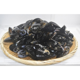 【関西圏まで送料無料】宮城県石巻産 活 ムール貝8kg(無選別)活きたまま発送で鮮度抜群